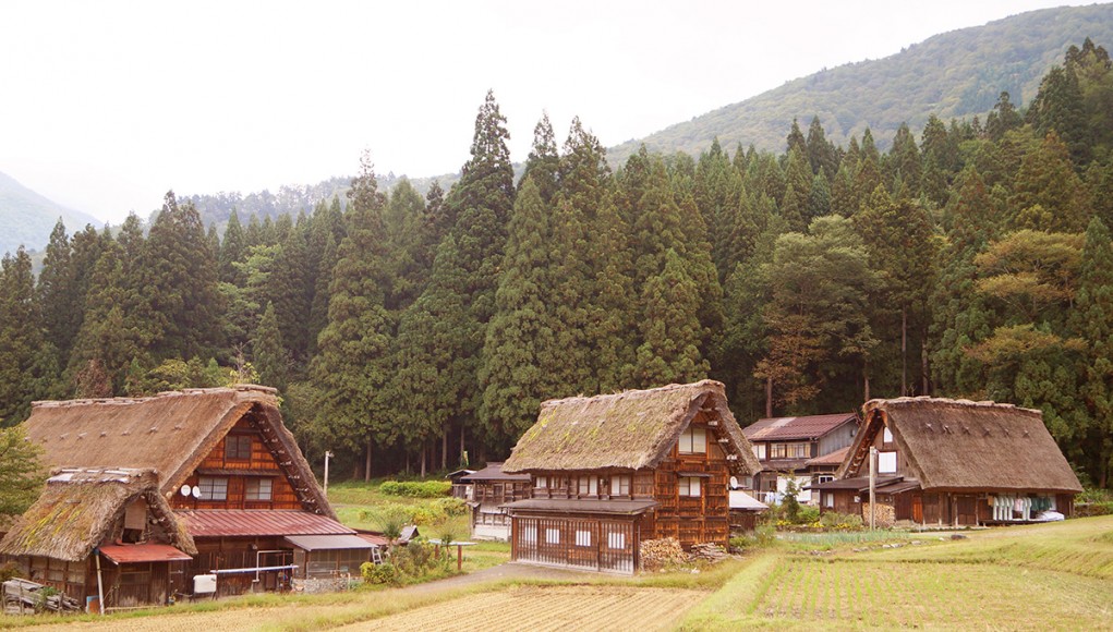 The Unesco World Heritage site of Shirakwa-go in Japan, with its ancient thatched farm houses.