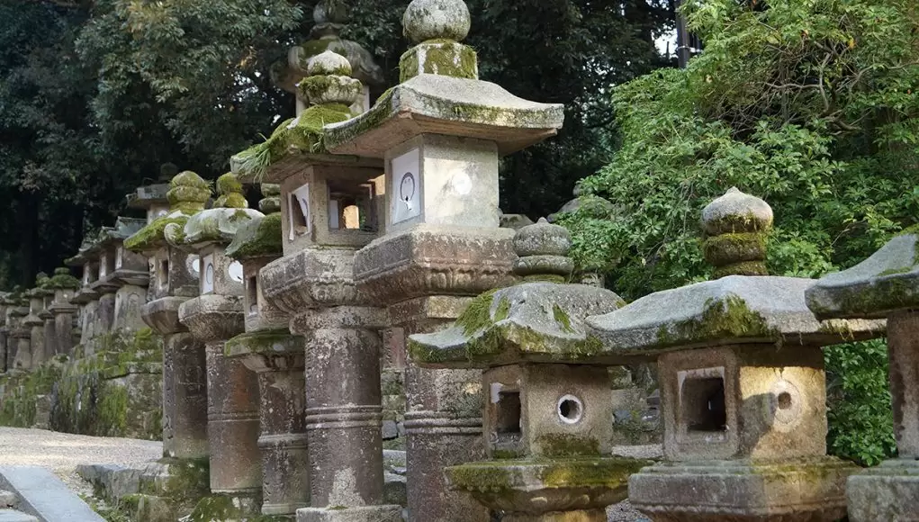 kasuga taisha nara, japan