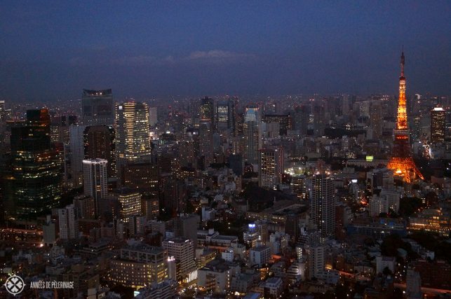 The best view on Tokyo from the Mori Towers in Ropongi Hills