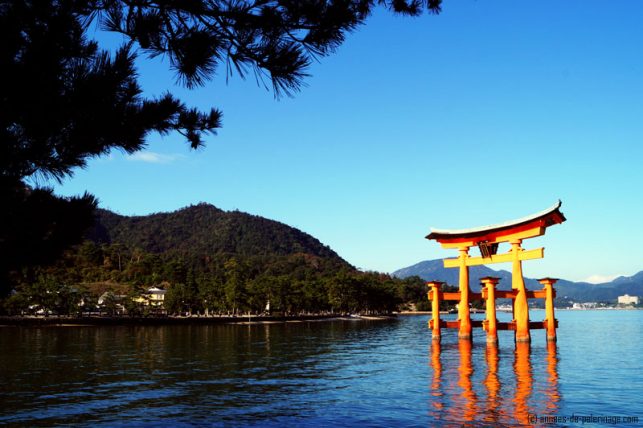 The red torii of the Itsukushima shrine in miyajima at high tide