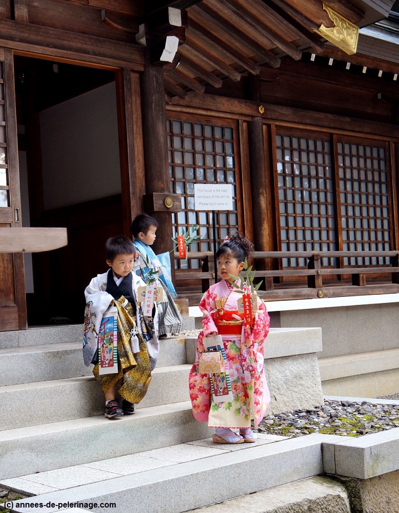 Rite of passage (shichi go san) at Meiji shrine tokyo