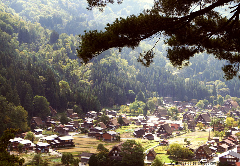 A view from above on the village of Shirakawa-go in Japan