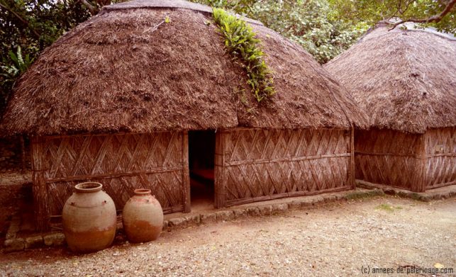 The traditional okinawan huts in the open air museum are one of the top tourist attractions in the north of the island