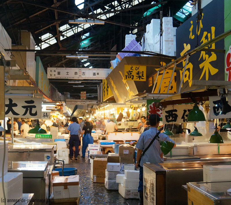 Tsukiji Fish Market, Tokyo – A Travel Guide