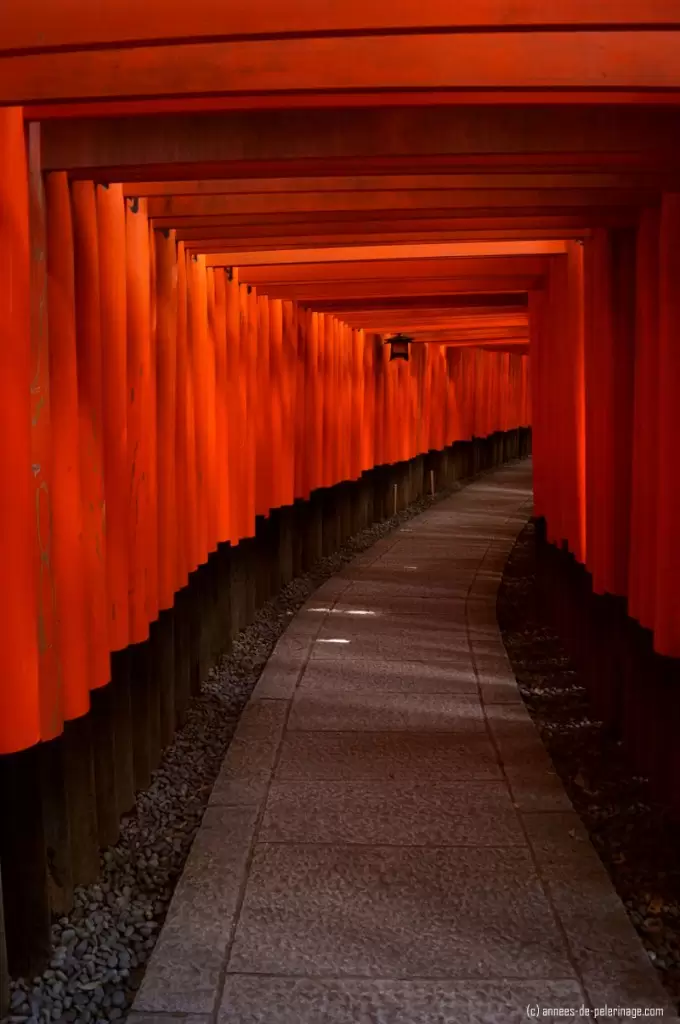 the red torii gates of fushimi inari-shrine in kyoto, japan