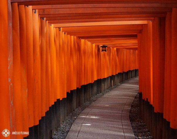 The red torii gates of the Fushimi Inarai Taisha Shrine in Kyoto