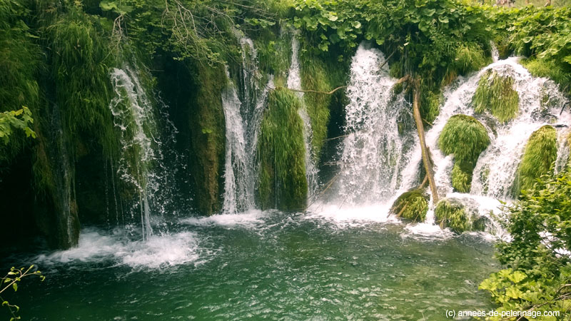 green waterstep in Plitvice Lakes National Park Croatia