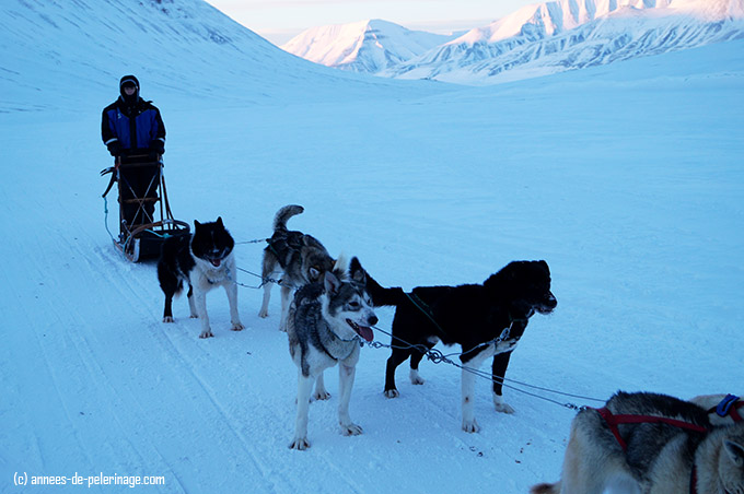 Dog sledding - me stopping along the scenic valley track