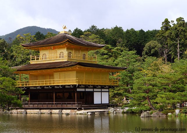 a close up of the golden pavilion of kinkaku-ji in kyoto