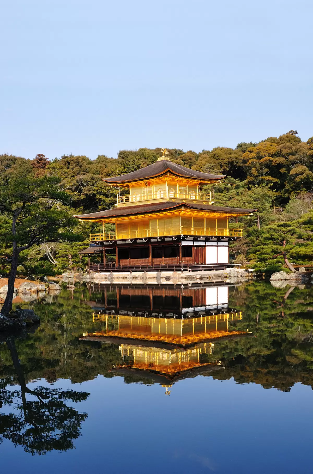 Light reflecting on the water in front of Kinkaku-ji in Kyoto