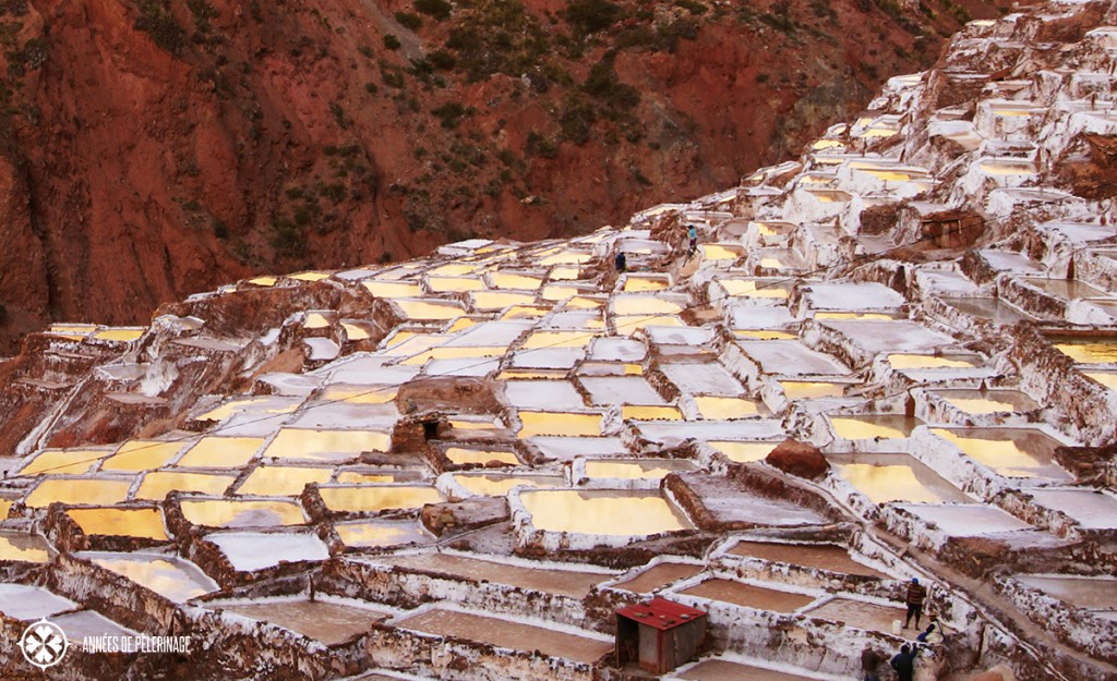 The salt evaporation ponds in Maras reflecting the sunset
