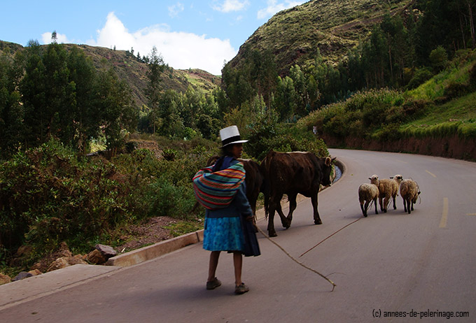 the road leading up the tipon ruins in peru