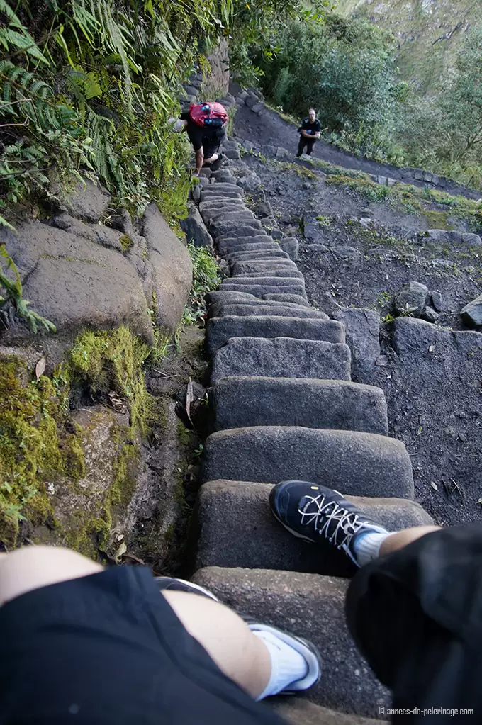 Me walking down the stairs of death from wayna picchu