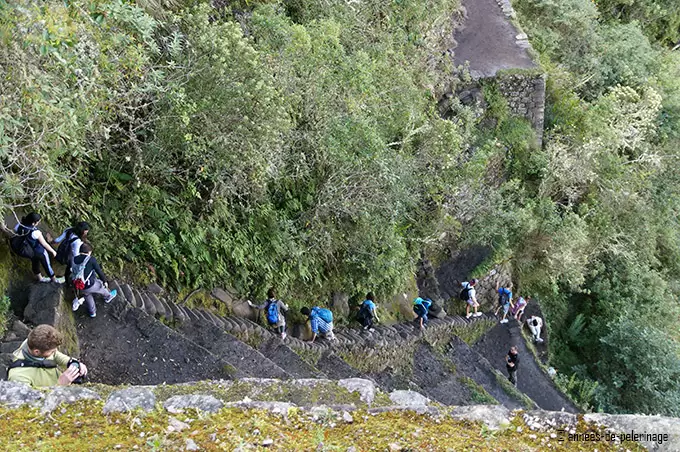 A group of people walking down the stais of death from wayna picchu