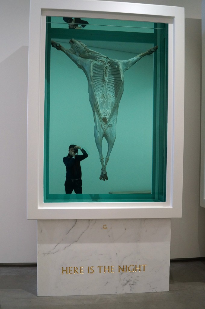 damien hirst taxodermic installation god alone knows at the astrup fearnley museum in oslo