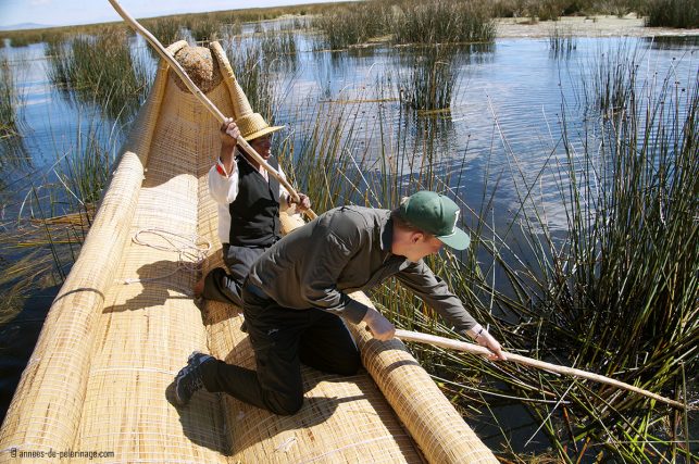 Me trying to cut totora reed in the marshlands around the floating islands of the uros people on lake titicaca