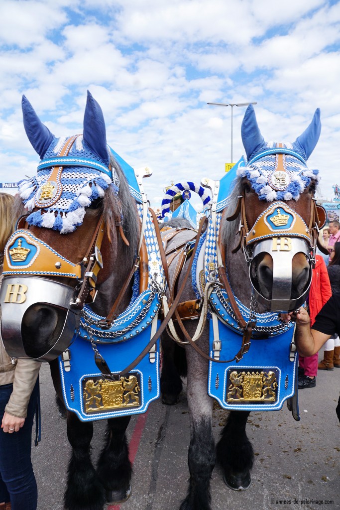 Horses at the oktoberfest parade in Munich