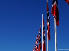 Norwegian flags with only blue sky in the background seen at holmenkollen ski jump