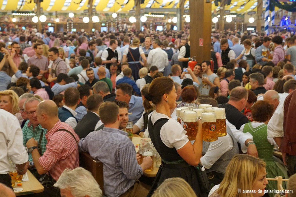 A waitress carrying a heavy load of beer mugs in a beer tent of oktoberfest