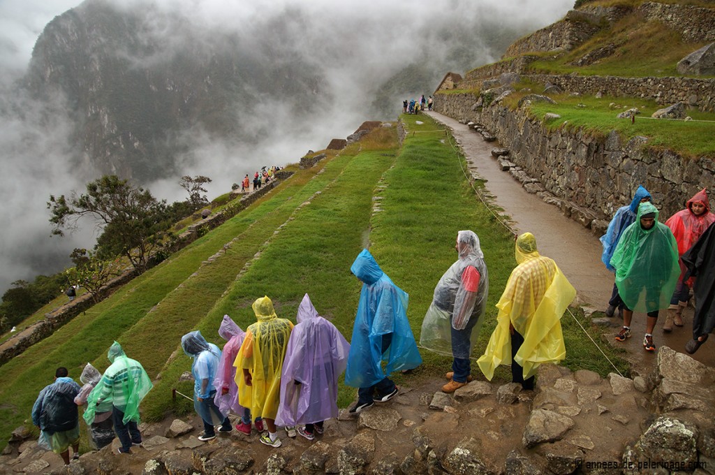 A crowd of tourists wearing rain capes in Machu Picchu