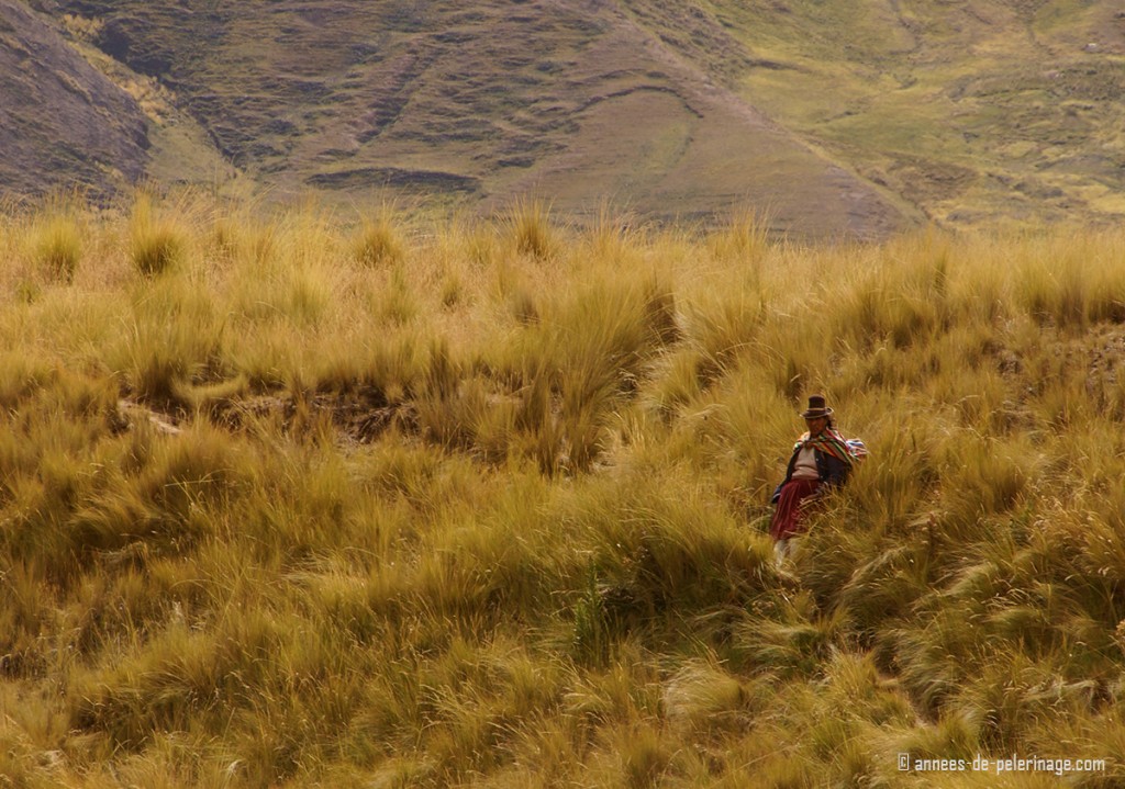 An inca woman sitting in the fields watching the Andean Explorer pass by