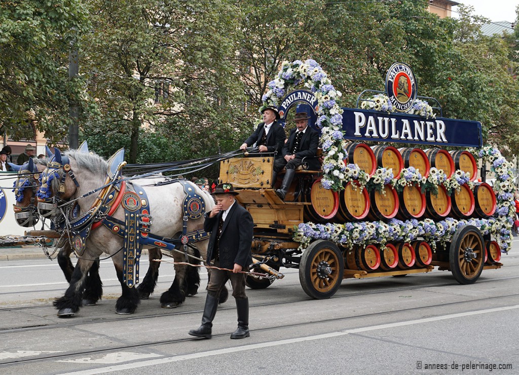 The Paulaner bräu horse carriage decorated with white and blue flowers for the traditional costume parade for oktoberfest