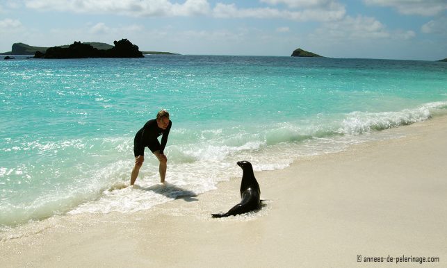 Me and a baby seal playing on the beach at the galapagos islands