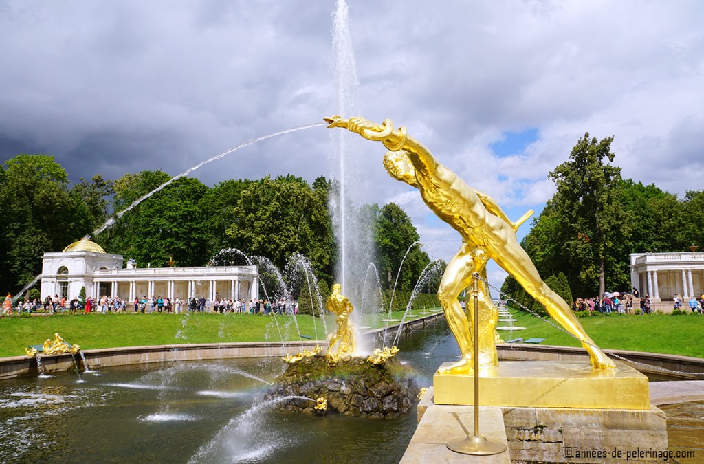 an atheletic golden fountain - part of the Grand Cascade of Peterhof Palace in St. Petersburg, Russia