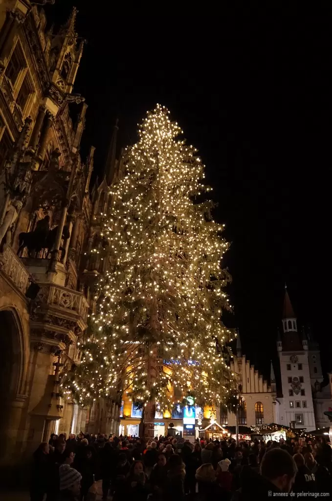 christmas tree christmas market munich