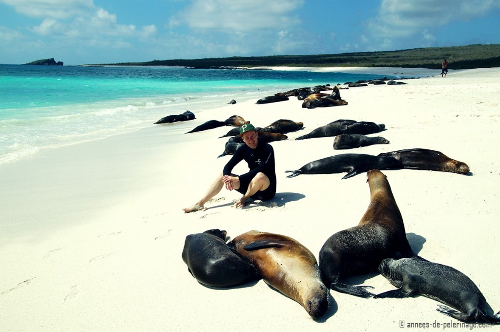 Me sitting between a group of sea lions on the Galapagos islands