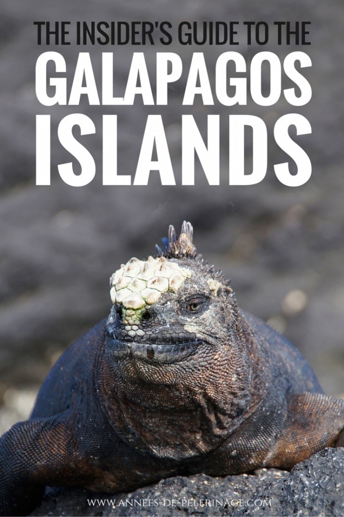An insider's guide to the Galapagos Islands in Ecuador. Plan the perfect vacation in Galapagos. Click for more information. www.annees-de-pelerinage.com