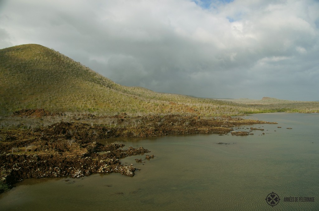 The very barren landscape of the Galápagos Islands is nonetheless extremly stuning.