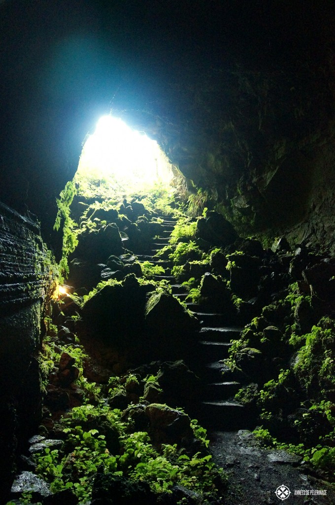 The entrance to a lava tube on Galápagos. This one is found on the main island Isabela