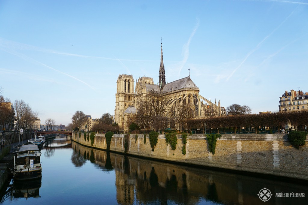 Notre-Dame de Paris in the morning light with the seine in the foreground