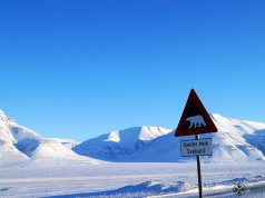 The warning sign "beware polar bears" at the entrance to Longyearbyen