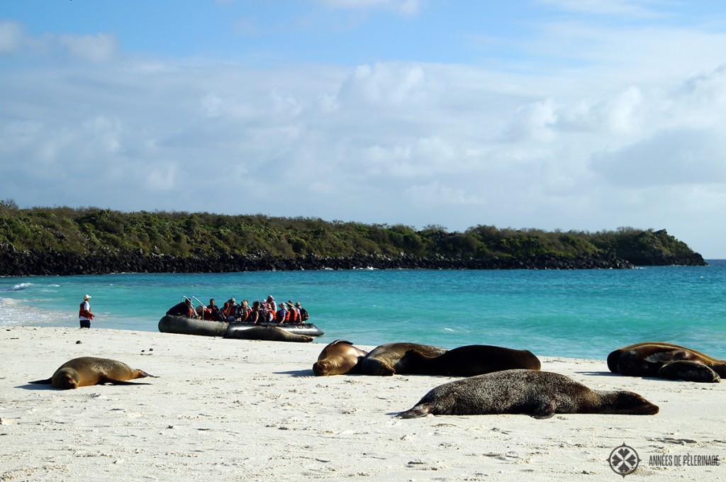 A wet landing on a pristine beach in galapagos forces you to pack water shoes