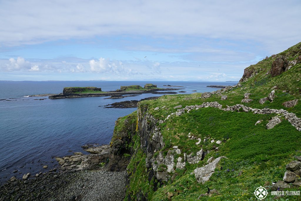 Lunga island puffin colony scotland