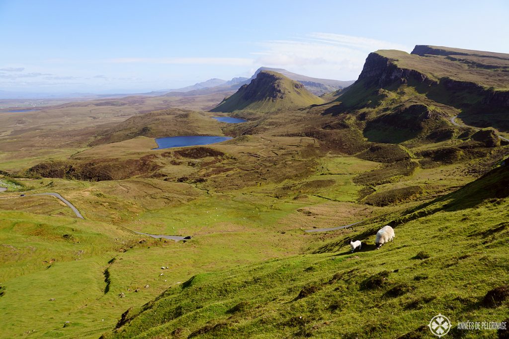 Sheep grazing along the Quiraing mountains on the Isle of Skye in Scotland