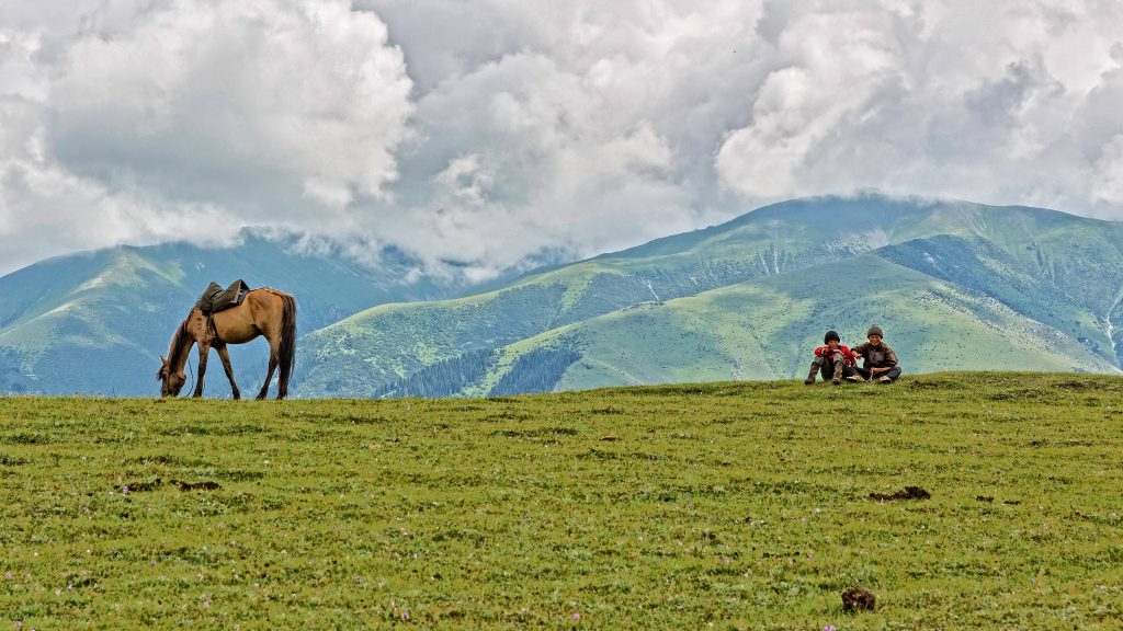 horses grazing on a meadow in Kyrgyzstan