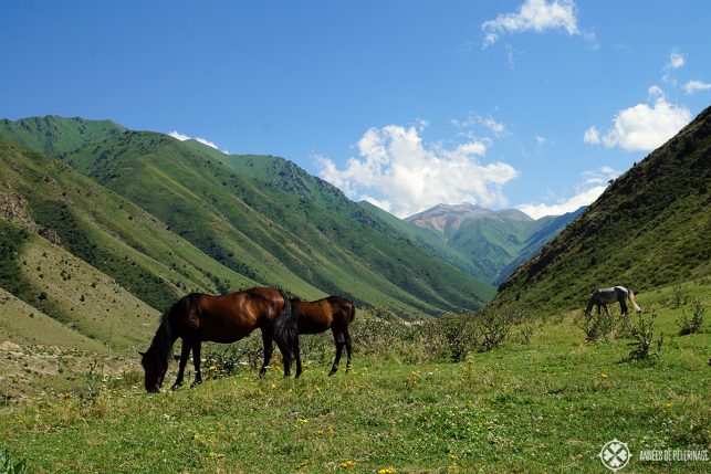 The Alamedin Gorge near Bishkek in Kyrgyzstan