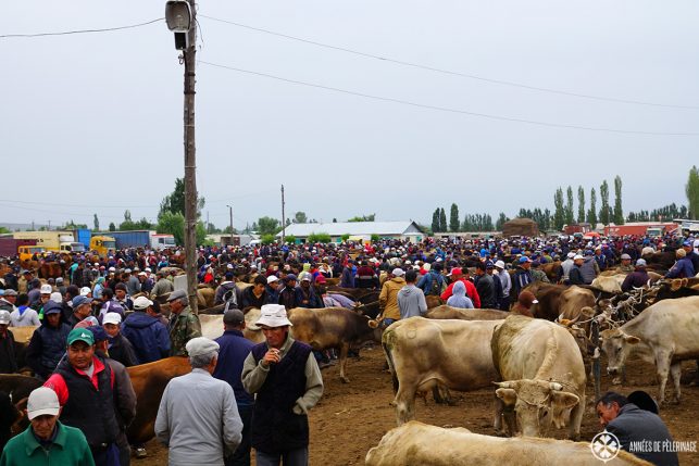 The horse and animal market in karakol is a wonderful thing to see in Kyrgyzstan. Only held on Sundays