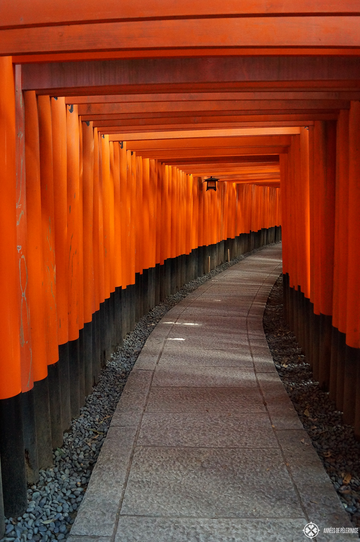The red tunnels at the Fushimi Inari Shrine in Kyoto