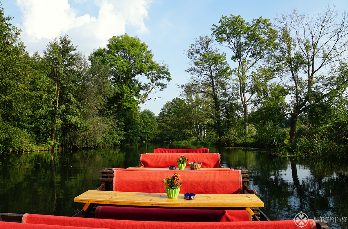 A private boat tour in the Spreewald forest in Germany