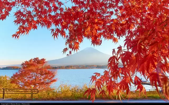 The Fujiyama mountain in Japan in Autumn