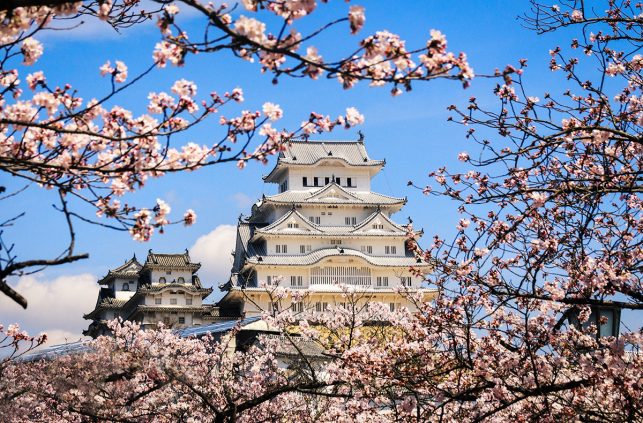 Himeji Castle, or White Heron Castle, in Japan during cherry blossom | pic: Reginald Pentinio