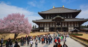 The best things to do in Nara, Japan and around Nara park japan