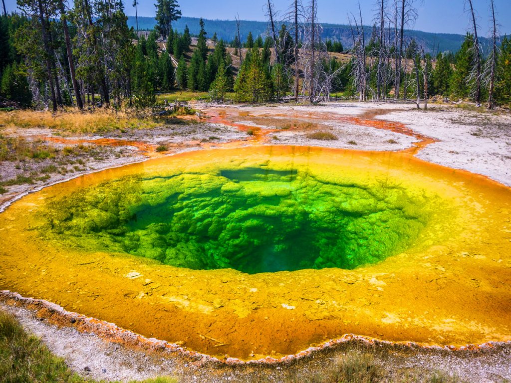 The morning glory pool inside Yellowstone National Park, USA