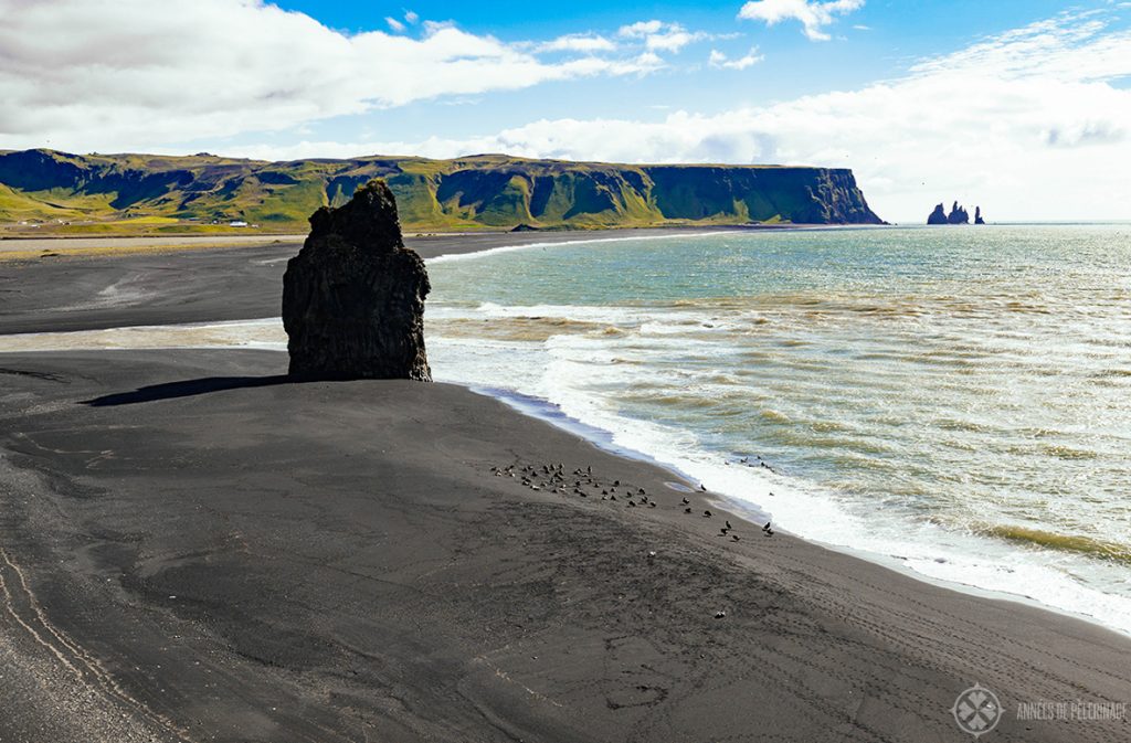 The black sand beach in Reynisfjara near Vik in Iceland