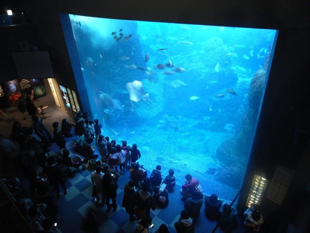 A big tank inside the Enoshima Aquarium