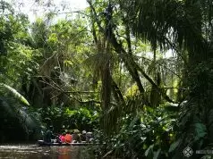 A canoe tour through the Yasuni National Park in Ecuador